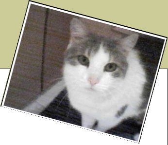 Bild : minka